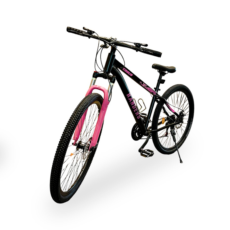 bicicleta, bicicletas, mountain, bike, bikes, randers, casus, rodado, rod, 29, r29, talle, s, full, shimano, negro, rosa, BKE-2129-SR.